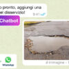 segnalazioni al comune con whatsapp.